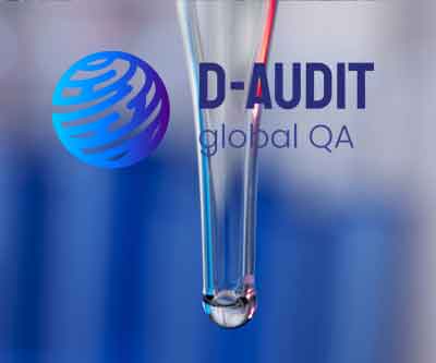 logoaudit